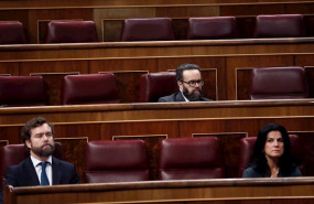 ep los diputados de vox en el congreso