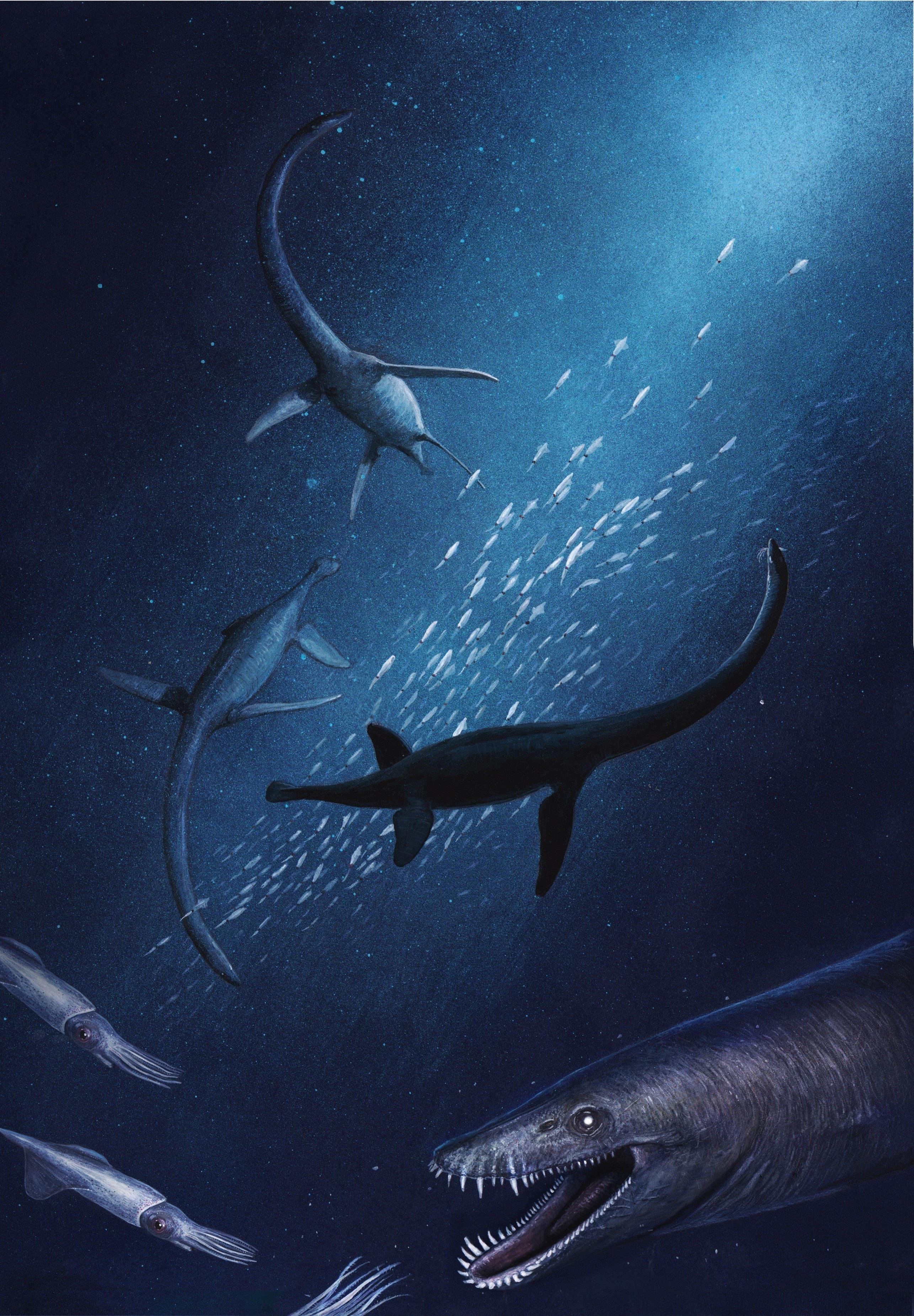 Reconstrucción de la especie de reptil marino 'Lagenanectes richterae' | JOSCHUA KNUPPE ep reconstruccionla especiereptil marino lagenanectes richterae