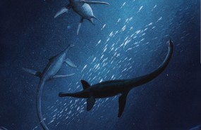 ep reconstruccionla especiereptil marino lagenanectes richterae