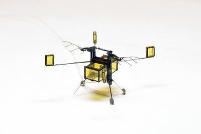 RoboBee dron | HARVARD ep robobee dron