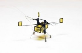 ep robobee dron