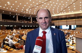 ep vicepresidentegobiernonavarra manu ayerdi encomite de regiones