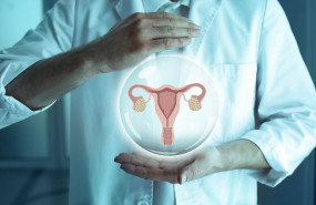 1623058756 imagen 1623058756 imagen