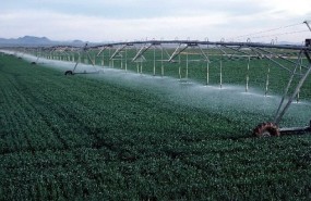 agrochemicals agrochemicals