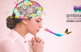 ambiseint 20230928175209 