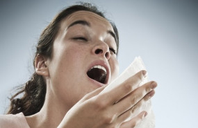 ep alergia al polen