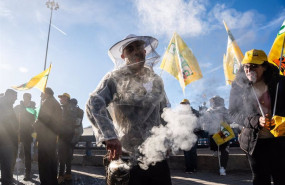 ep archivo   apicultores durante una protesta de agricultores y ganaderos en madrid