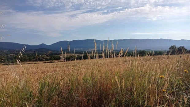 ep archivo   campo de trigo en el valle de tobalina burgos