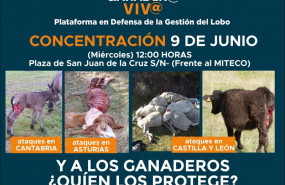 ep cartel de la manifestacion contra la proteccion del lobo del 9 de junio