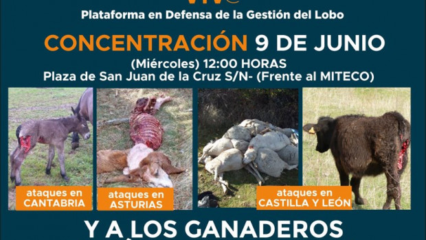 ep cartel de la manifestacion contra la proteccion del lobo del 9 de junio