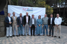 ep el ayuntamiento de madrid ha cesado a la directora de servicios juridicos de la emvs por no ser