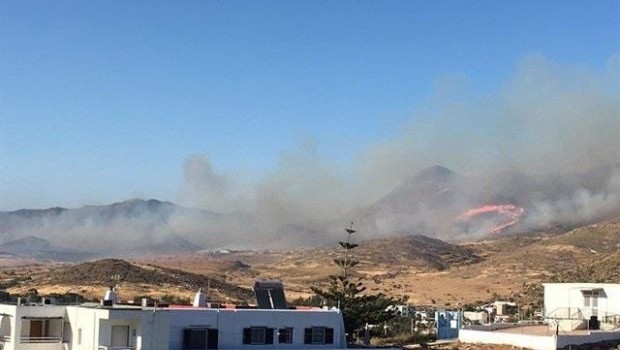 ep incendio forestalpozolos frailesjunio2017