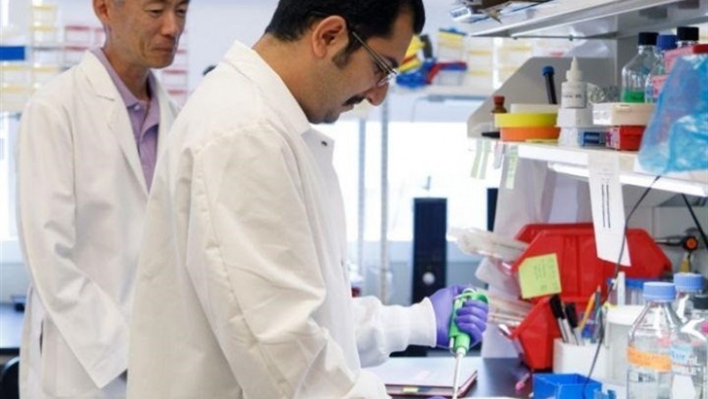 Investigadores, laboratorio | UNIVERSITY OF HOUSTON ep investigadores laboratorio