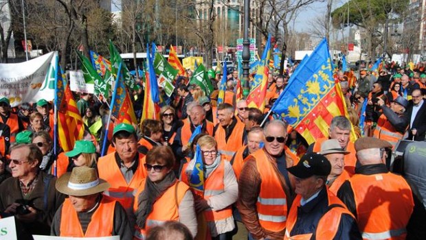 ep manifestacion citricultores