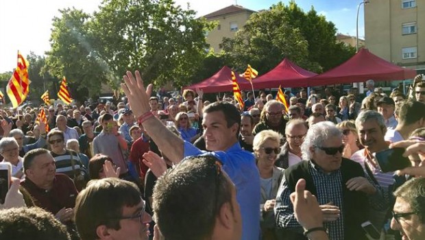 ep pedro sanchez psoe