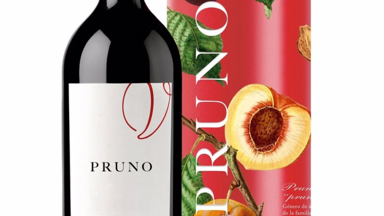 ep pruno 2021 ep pruno 2021