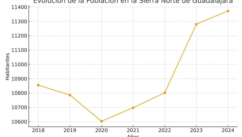 imagen de whatsapp 2025 11 19 a las 100733 5cd43682 