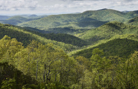 north carolina 01 photography by petr krejci 