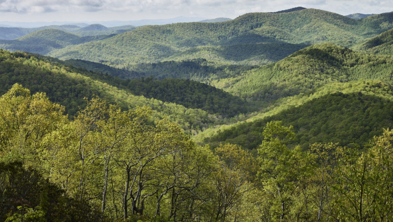 north carolina 01 photography by petr krejci 