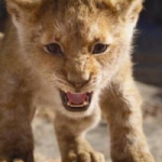 rey leon portada disney simba rey leon portada disney simba
