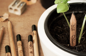 sproutworld sproutworld