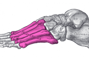 1578676141 captura de pantalla 2020 01 10 a les 180628