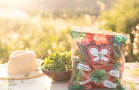 1592927108 kale primaflor