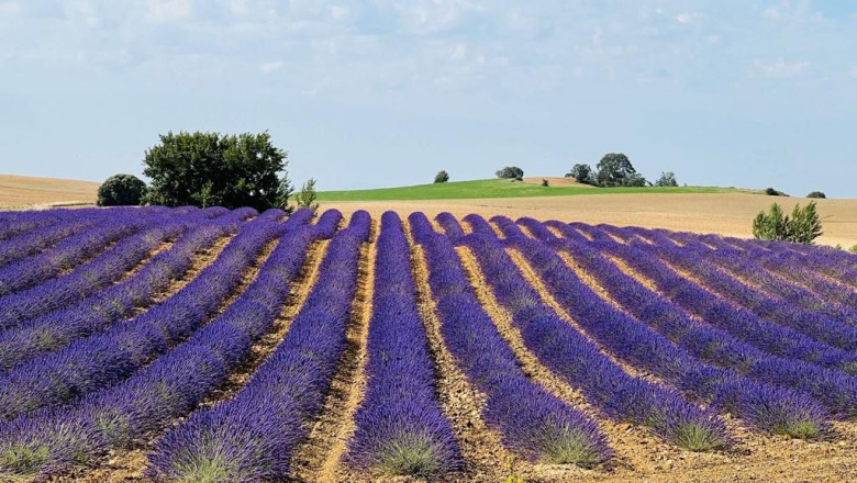 agricultura sostenible 2