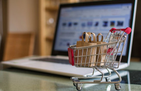 bchollos es bchollos es