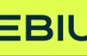 ep archivo logo de nebius ep archivo logo de nebius
