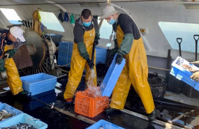 ep archivo - pescadores en barco pesquero
