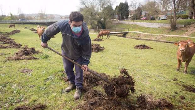 ep archivo   roberto extiende estiercol en la finca donde pastan sus vacas del barrio de a tolda en