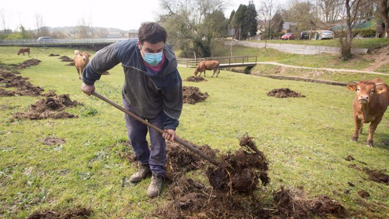 Archivo - Roberto extiende estiércol en la finca donde pastan sus vacas del barrio de A Tolda, en Lugo, Galicia (España), a 24 de marzo de 2021. El sector primario ha sido fundamental durante la pandemia. | Carlos Castro - Europa Press - Archivo ep archivo roberto extiende estiercol en la finca donde pastan sus vacas del barrio de a tolda en