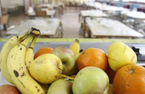 ep archivo   una bandeja de fruta en un comedor escolar