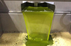 ep archivo 20250814164703