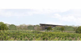 ep bodegas y vinedos en bodegas la horra