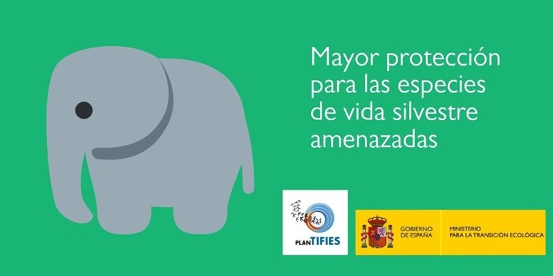 ep cites analizara 57 propuestascomercio mundial