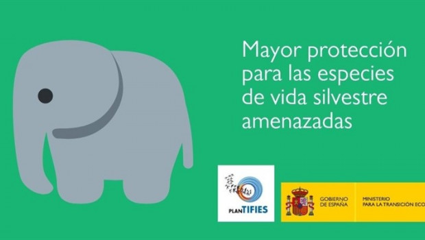 ep cites analizara 57 propuestascomercio mundial