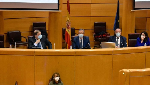 ep comparecencia del gobernador del banco de espana en el senado