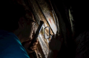 ep el investigador jose luis sanchidrian en la cueva de nerja malaga
