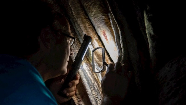 ep el investigador jose luis sanchidrian en la cueva de nerja malaga ep el investigador jose luis sanchidrian en la cueva de nerja malaga
