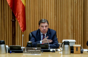 ep el ministro de agricultura pesca y alimentacion luis planas comparece en la comision de