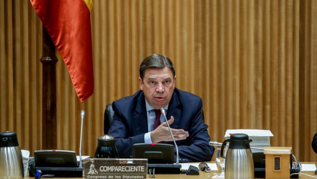 ep el ministro de agricultura pesca y alimentacion luis planas comparece en la comision de