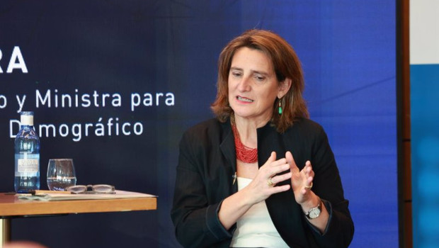 ep la vicepresidenta tercera del gobierno y ministra para la transicion ecologica y el reto 20240201120604