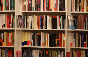 ep libros colocados en una de las estanterias de libreria tipos infames