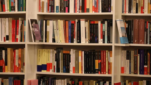 ep libros colocados en una de las estanterias de libreria tipos infames