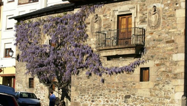 ep ponferrada