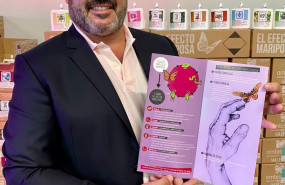 fernando castillo director general de ambiseint