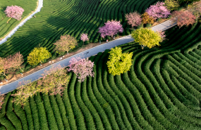 np   ecoact identifica un riesgo de ingresos del 10 para los sectores intensivos en carbono en 2030