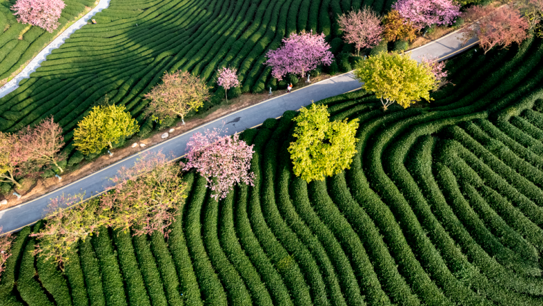 np   ecoact identifica un riesgo de ingresos del 10 para los sectores intensivos en carbono en 2030